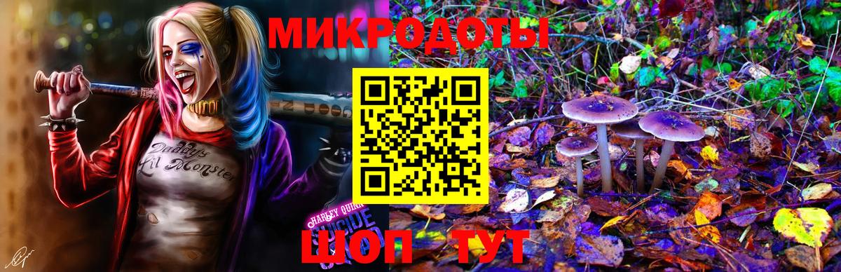 Вичуга  Галлюциногенные грибы мицелий  Вход с VPN 